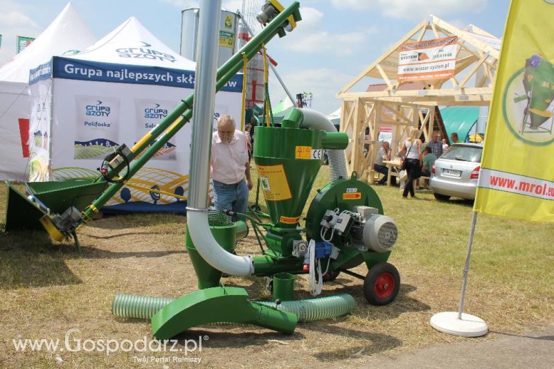 M-Rol na Opolagrze 2013