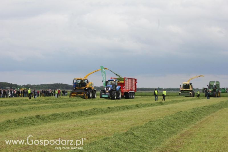 Pokazy maszyn Polskie Zboża Zielone Agro Show 2013