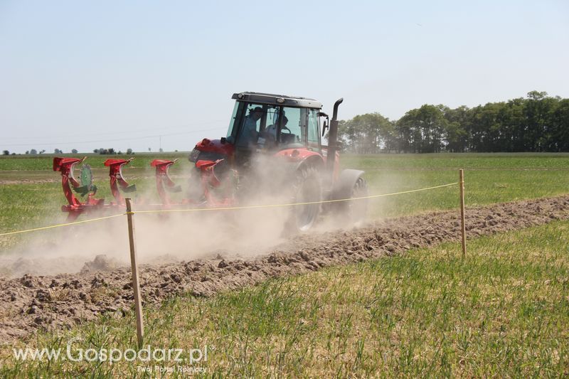 Polskie Zboża 2011 - Piątek 