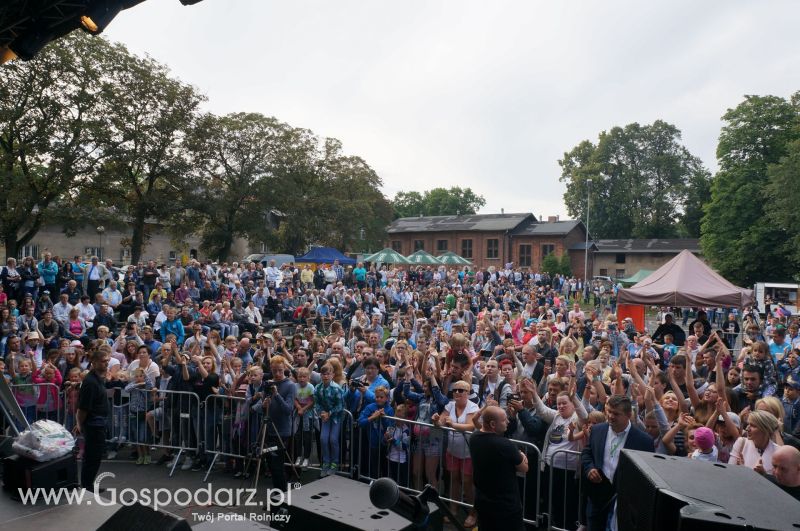 V Ogólnopolski Festiwal Wieprzowiny w Koźminie Wielkopolskim