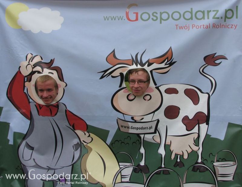 Wielkopolskie Targi Rolnicze „Sielinko 2011”  - Krówka Gospodarza