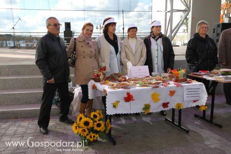 Święto Indyka w Ostródzie