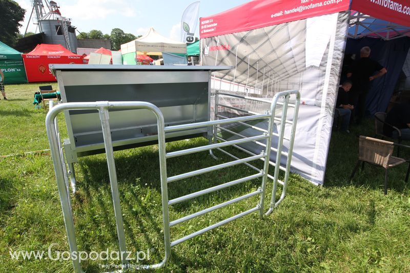  Regionalna Wystawa Zwierząt Hodowlanych W Szepietowie 2016 z Gospodarz.pl