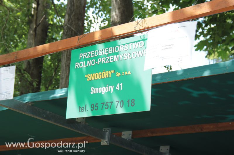 XX Targi Rolnicze Lubniewice - zwierzęta