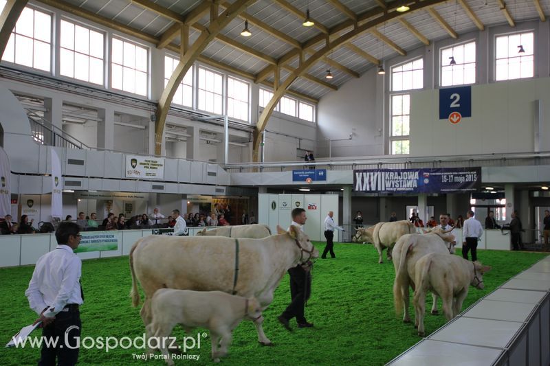 KWZH 2015 piątek