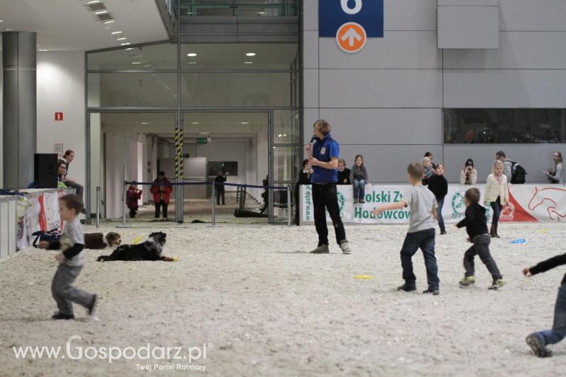 CAVALIADA 2013 w Poznaniu
