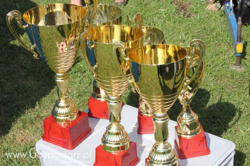 Świętomięs Polski w Chorzowie