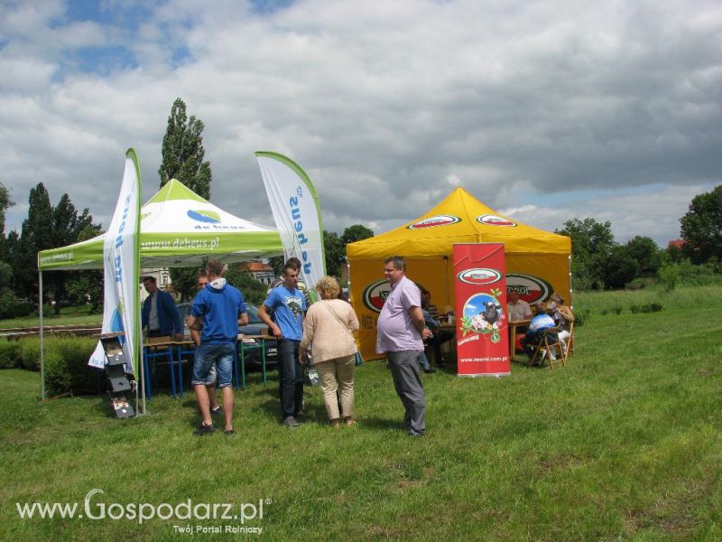 Festiwal Wieprzowiny w Koźminie Wielkopolskim 2013