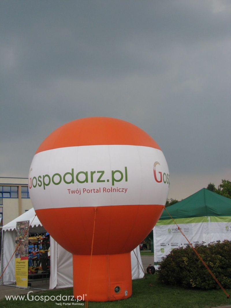 Sochaczew okiem zwiedzającego