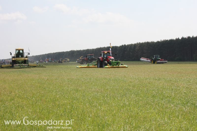 Zielone Agro Show pokaz maszyn rolniczych