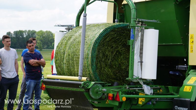 ZIELONE AGRO SHOW 2017 w Ułężu (niedziela, 28 maja)