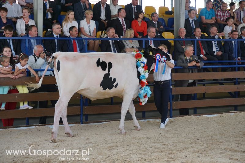 Wystawa zwierząt w Szepietowie