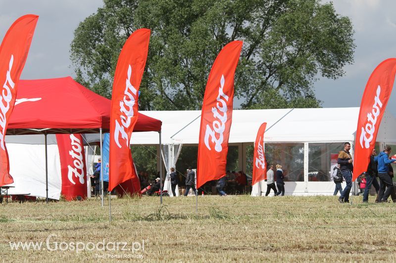 Majówka z Zetorem w Brzeziu