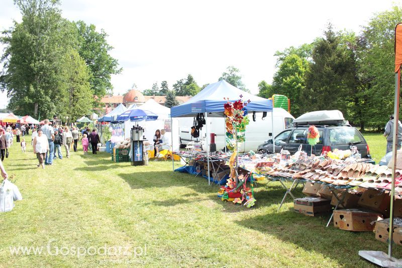 XX Targi Rolnicze Lubniewice 