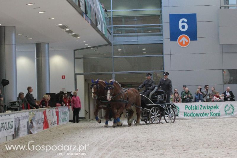 CAVALIADA 2013 w Poznaniu