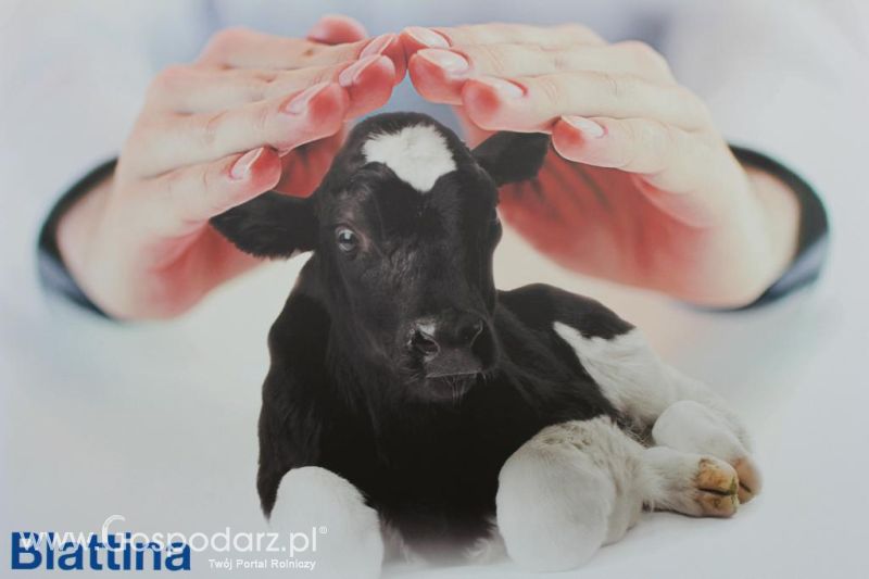 Targi AGROTECH i LAS-EXPO Kielce cz.1 