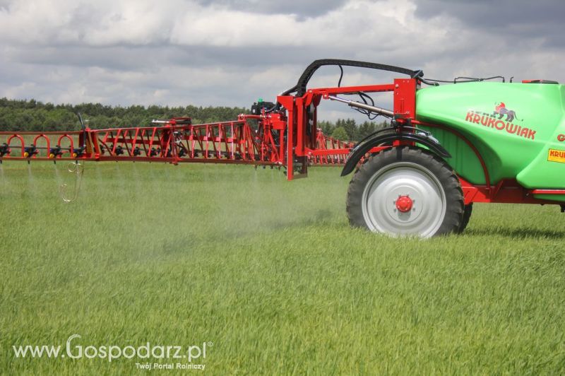 Zielone Agro Show 2012 Kąkolewo - Polskie Zboża 