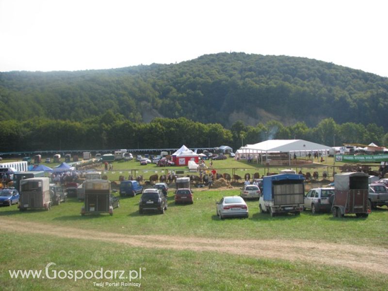 Krajowa Wystawa Ras Rodzimych Rudawka Rymanowska 2012 dzień 2