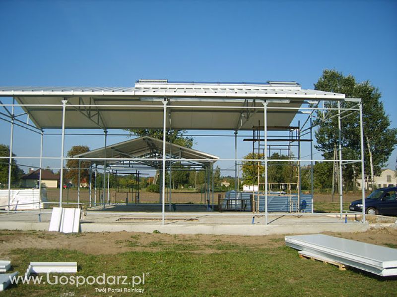 Stef-Bud - Świetliki, Pasma świetlne