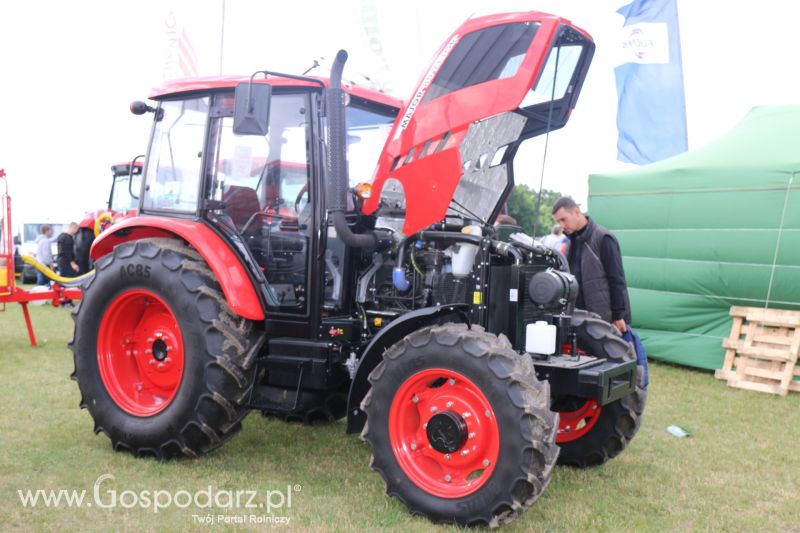 Zetor na AGRO-TECH Minikowo 2017