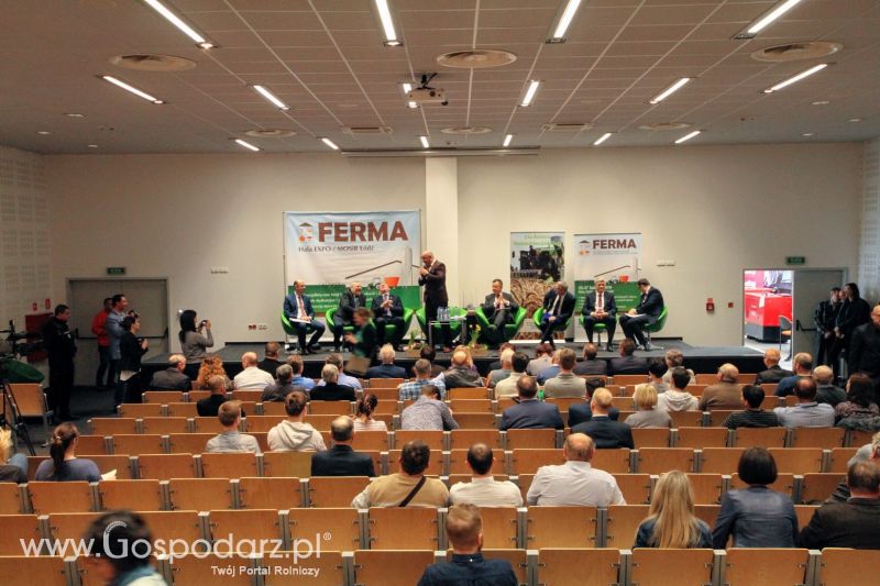 Ferma 2019 dzień 1