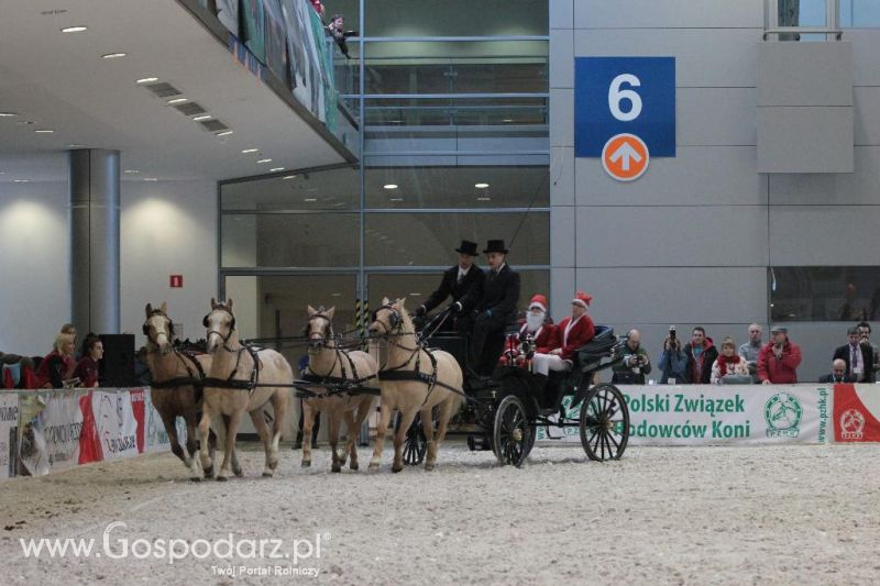 CAVALIADA 2013 w Poznaniu