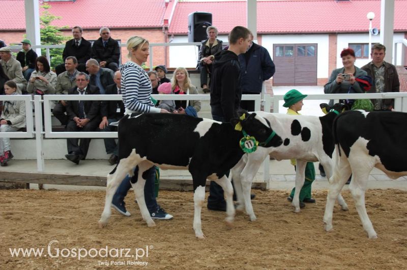 Mali Hodowcy VII Ogólnopolska Wystawa Bydła Hodowlanego w Sielinku 2012