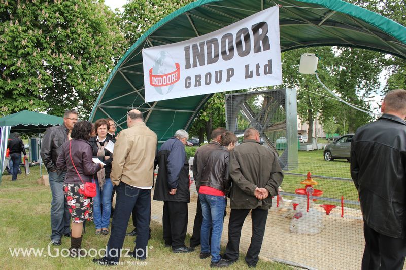 Pierwsze Dni Indyka w Koźminku