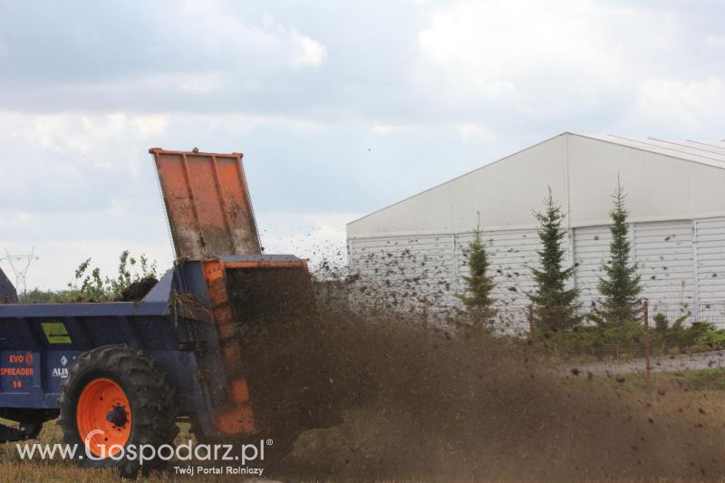 Pokazy Polowe z firmą Bogart