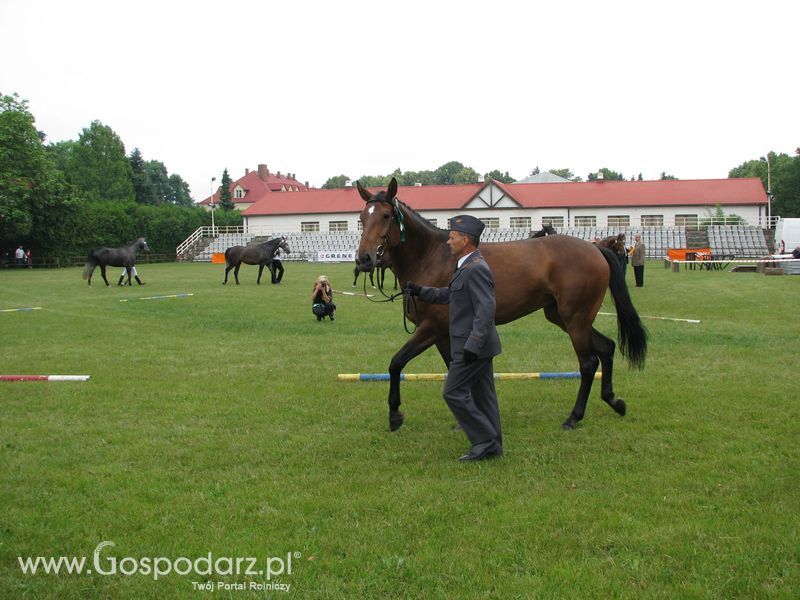 Wystawa Koni Sielinko 2011