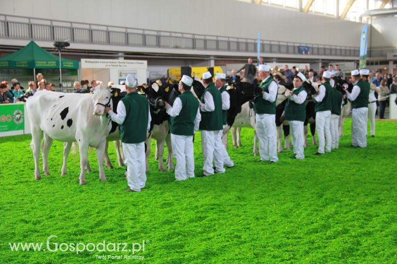 KWZH 2015 piątek