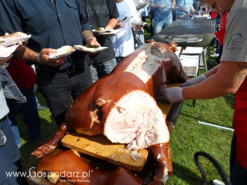 II Festiwal Wieprzowiny w Kwidzyniu