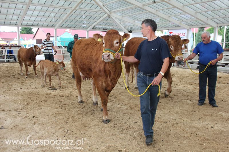 Czempioni XVII Regionalnej Wystawy Zwierząt Hodowlanych Sielinko 2011