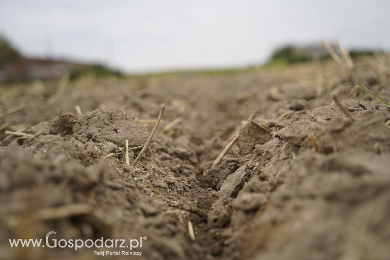 Wóz asenizacyjny Pichon z aplikatorem doglebowym na gospodarstwie rolnym w Wielkopolsce
