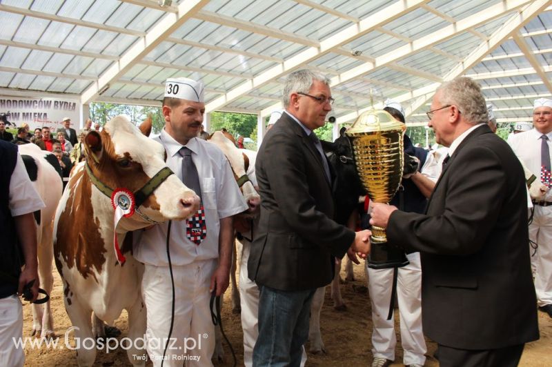 Championi VII Ogólnopolskiej Wystawy Bydła Hodowlanego - Sielinko 2012