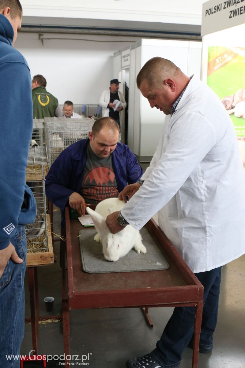 Krajowa Wystawa Zwierząt Hodowlanych w Poznaniu 2017 (piątek, 5 maja)