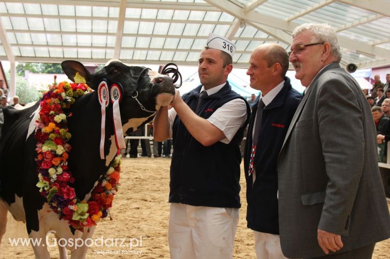Championi VII Ogólnopolskiej Wystawy Bydła Hodowlanego - Sielinko 2012
