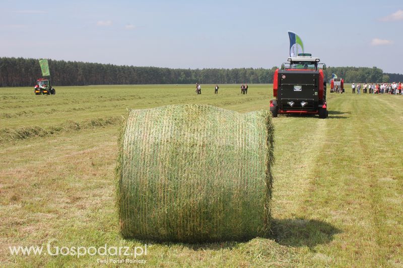 Zielone Agro Show pokaz maszyn rolniczych