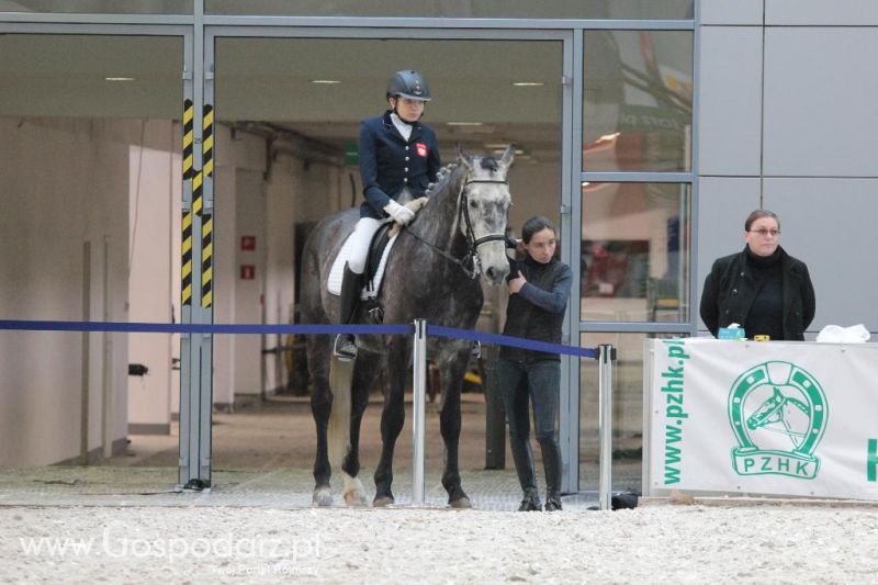 CAVALIADA 2013 w Poznaniu