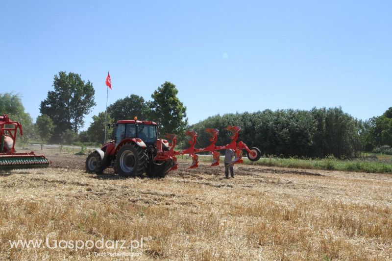 Zetor Family Tractor Show 2013 - Opatów