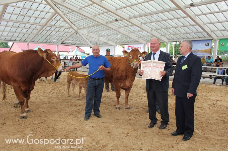 Czempioni XVII Regionalnej Wystawy Zwierząt Hodowlanych Sielinko 2011