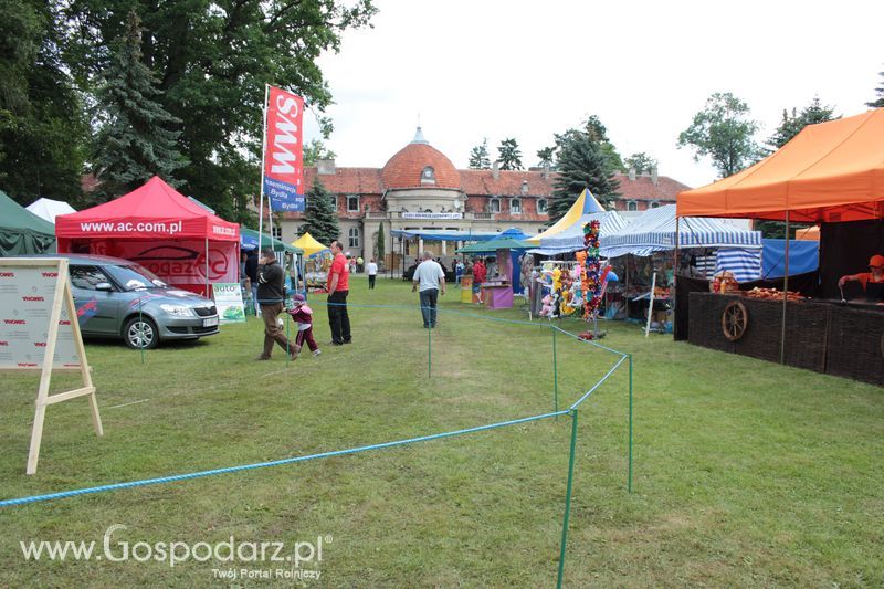 XX Targi Rolnicze Lubniewice 