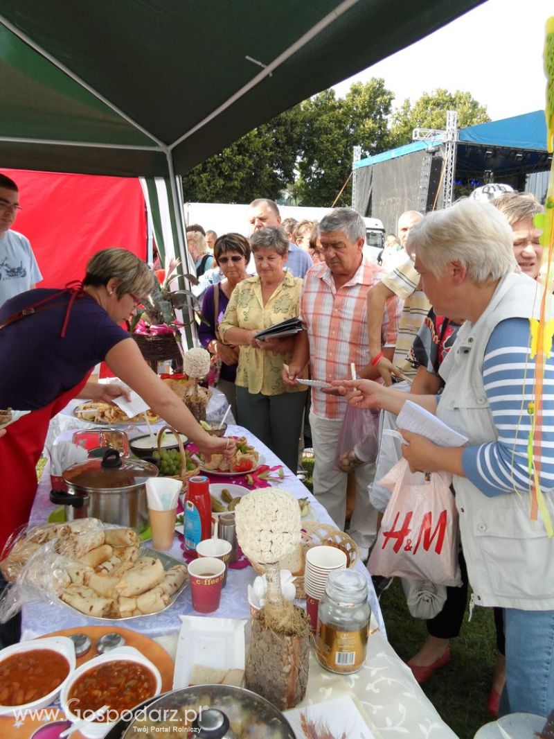 II Festiwal Wieprzowiny w Kwidzyniu