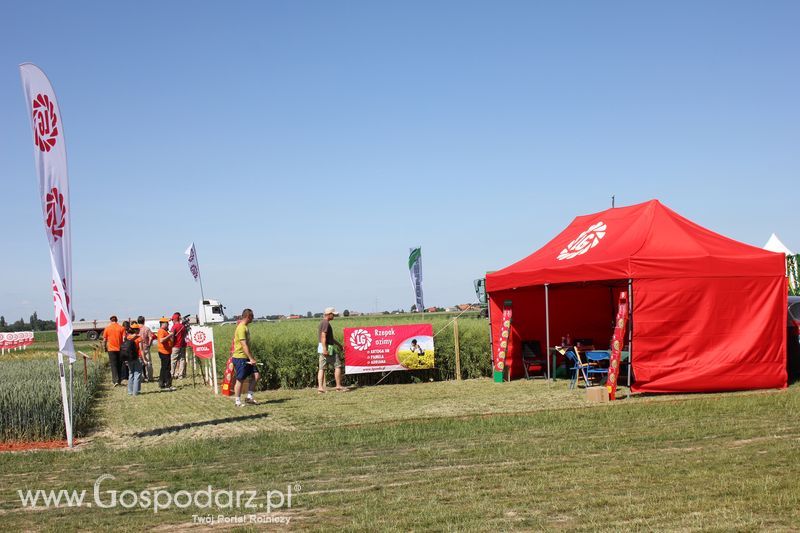 Polskie Zboża 2011 - Piątek 