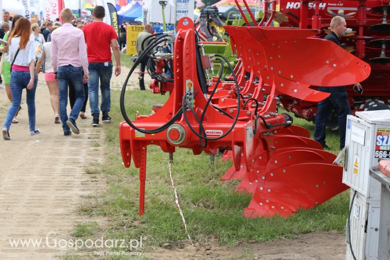 Regionalna Wystawa Zwierząt Hodowlanych i Dni z Doradztwem Rolniczym w Szepietowie 2017