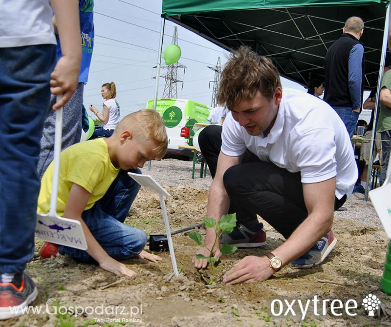 Fotorelacja z majowego Pokazowego Sadzenia Oxytree