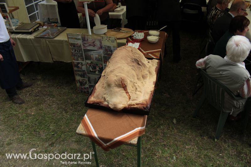  XX Targi Rolnicze Lubniewice