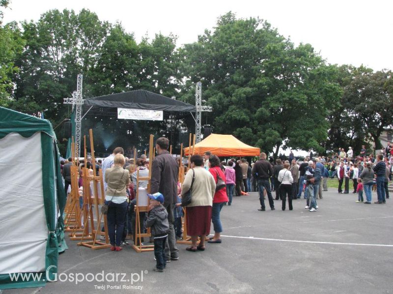 Festiwal Wieprzowiny w Koźminie Wielkopolskim 2013