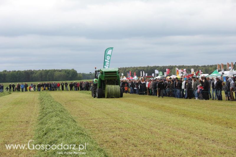 Pokazy maszyn Polskie Zboża Zielone Agro Show 2013
