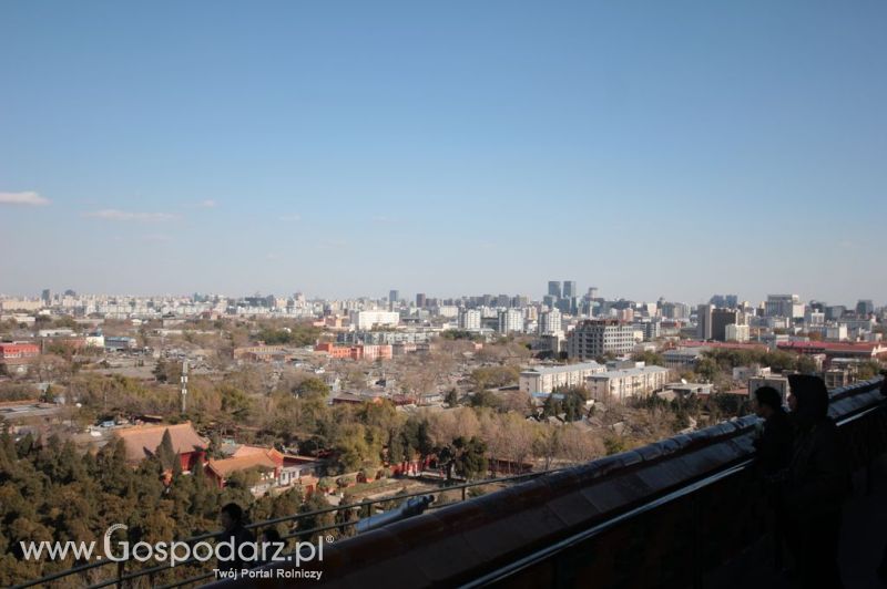 Gospodarz.pl w Chinach